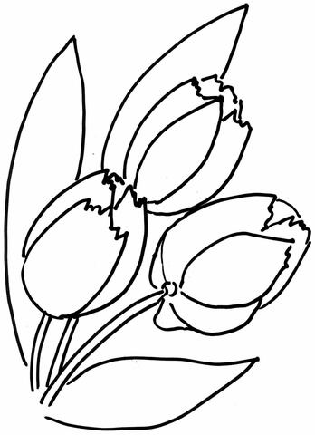 Tulips Flower  Coloring Page